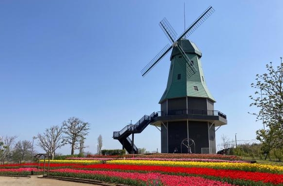 霞ヶ浦総合公園のオランダ型風車